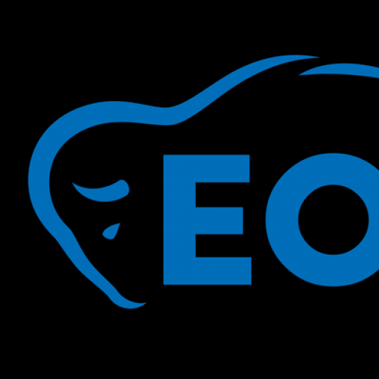 Agency Logo