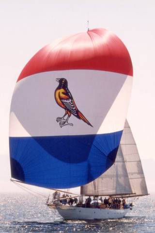 Agency Photo  (123958)