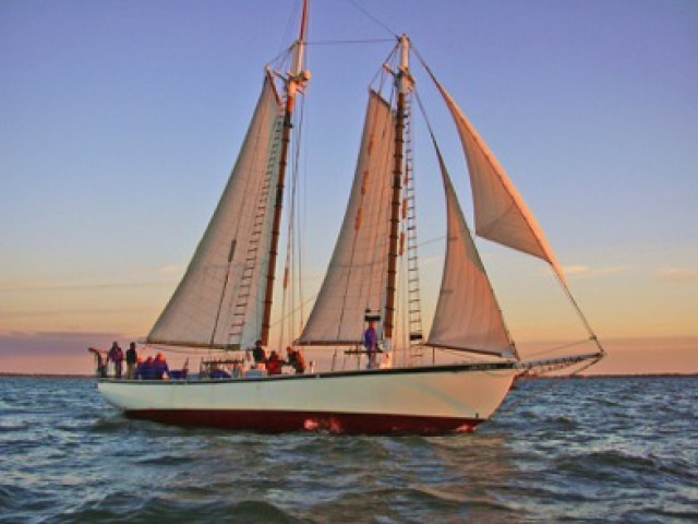 Agency Photo  (123952)