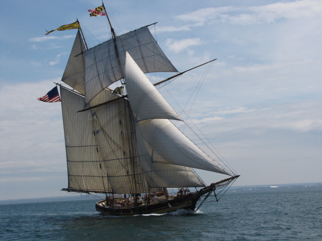 Agency Photo  (123960)