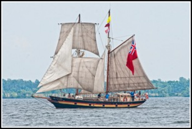 Agency Photo  (123953)