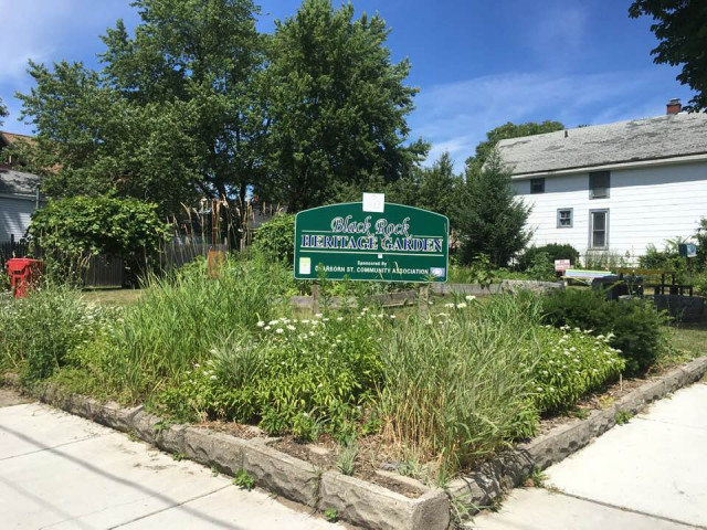 Agency Photo  (144682)