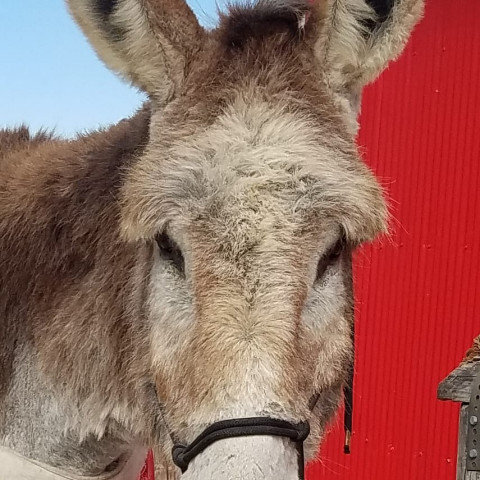 Agency Photo  (177007)