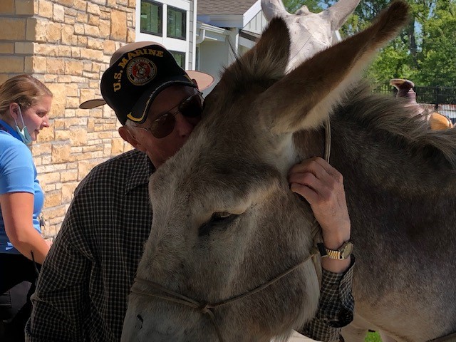 Agency Photo  (177008)