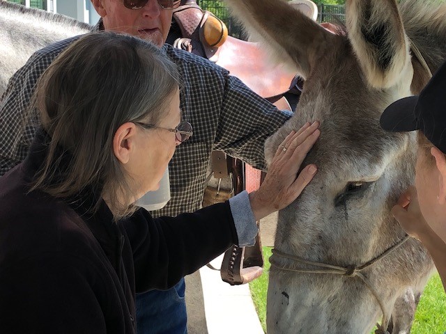 Agency Photo  (177009)