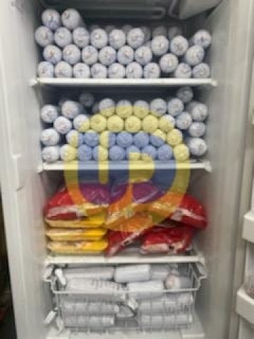 Agency Photo  (183892)