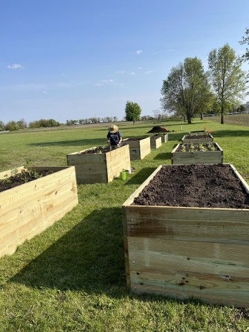 Agency Photo  (213631)