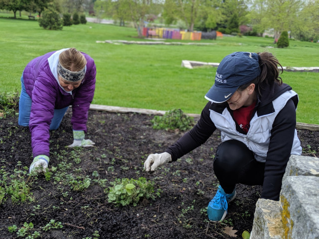 Agency Photo  (147428)