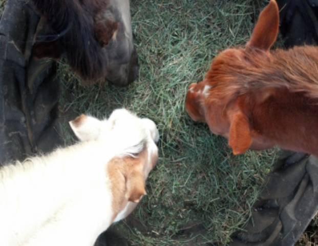 Agency Photo  (46472)