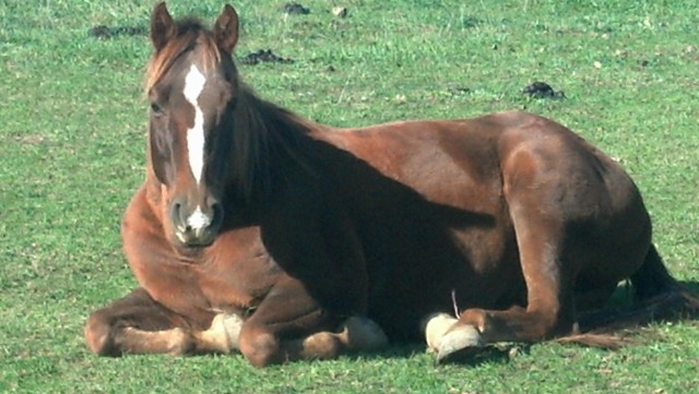 Agency Photo  (46471)