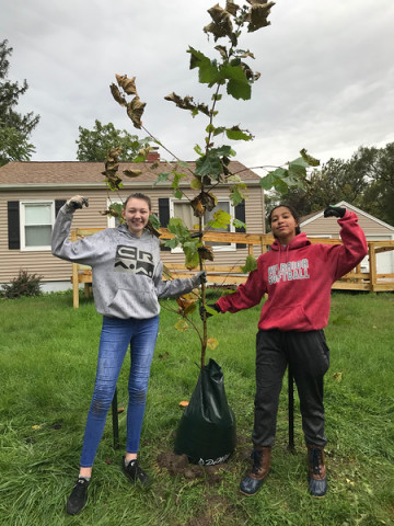 Agency Photo  (146670)