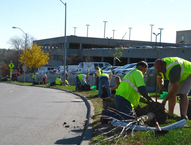 Agency Photo  (146673)