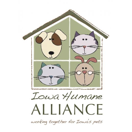 Agency Logo
