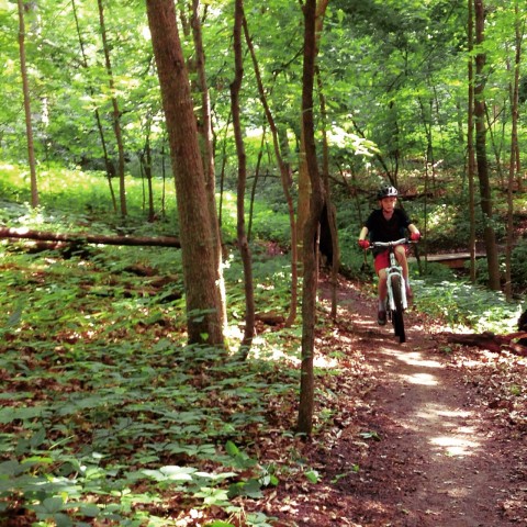 Agency Photo  (61277)