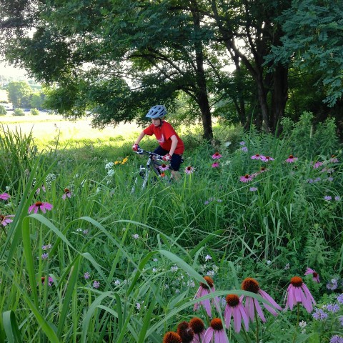 Agency Photo  (61276)