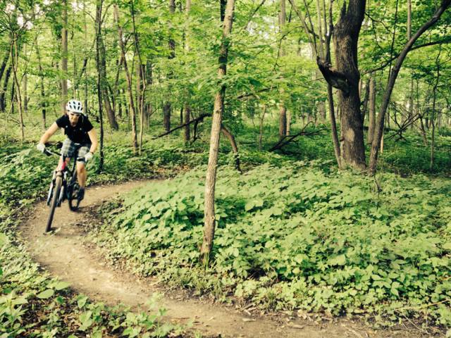 Agency Photo  (61275)