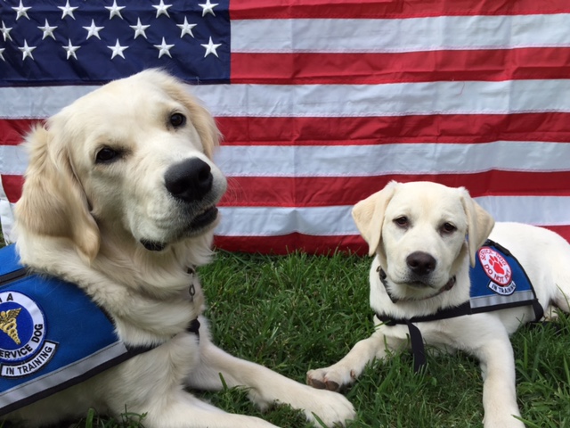 Agency Photo  (84580)