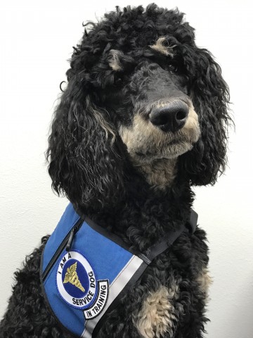 Agency Photo  (84576)