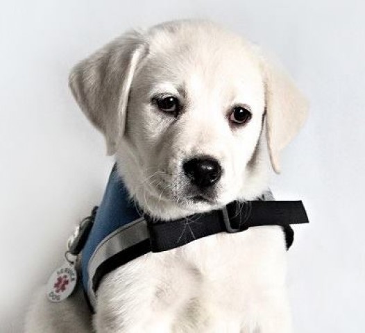 Agency Photo  (84578)