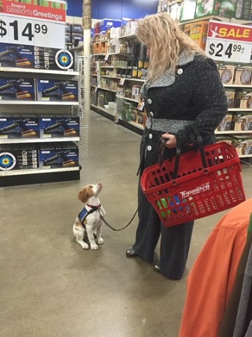 Agency Photo  (84579)