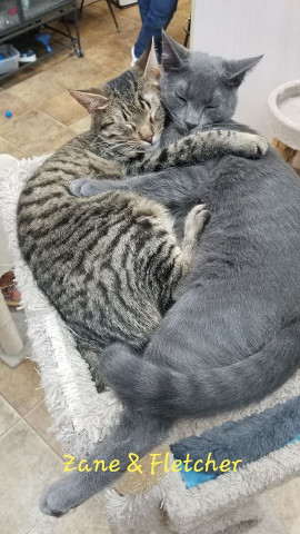 Agency Photo  (124345)