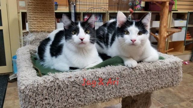 Agency Photo  (124343)