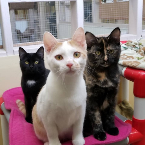 Agency Photo  (124341)