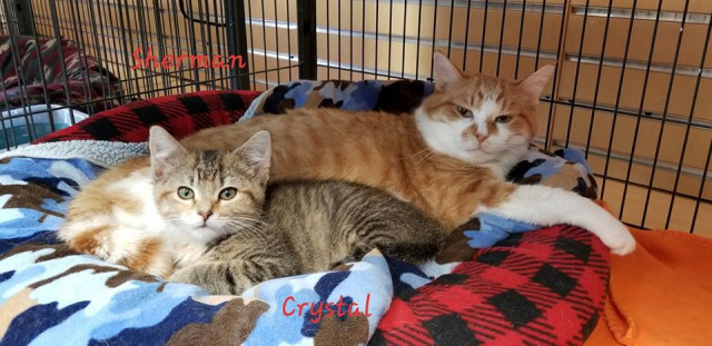 Agency Photo  (124344)