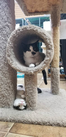 Agency Photo  (124342)