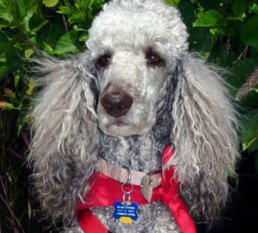 Agency Photo  (79286)