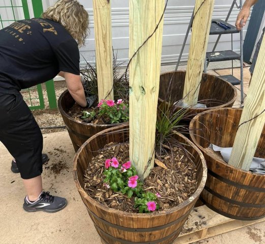 Agency Photo  (239859)