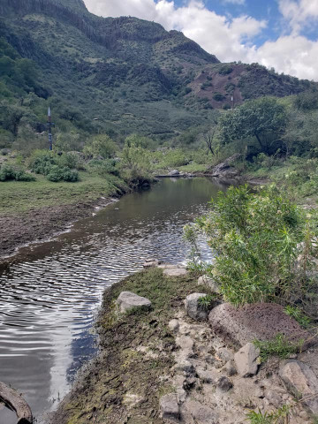 Agency Photo  (119886)