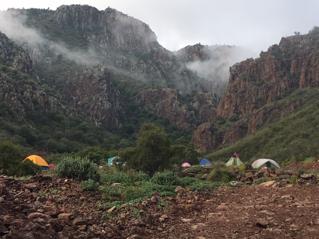 Agency Photo  (119887)