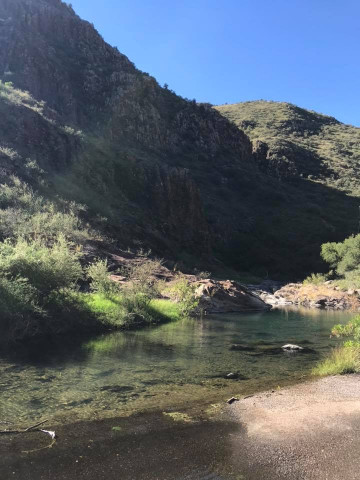 Agency Photo  (119882)