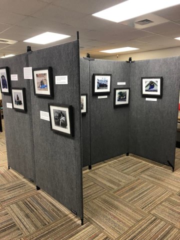 Agency Photo  (185015)