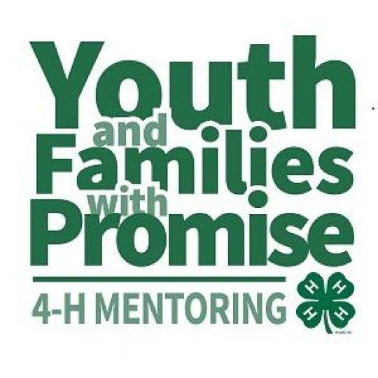 Agency Logo