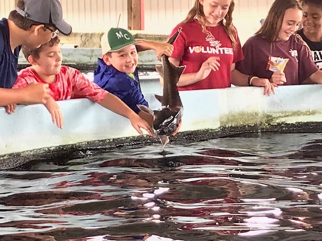 Agency Photo  (144088)