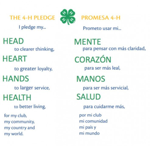 Agency Photo  (130606)