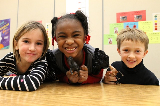 Nonprofit Photo  (53029)