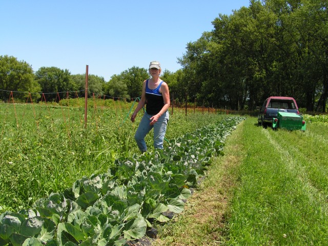 Nonprofit Photo  (62080)