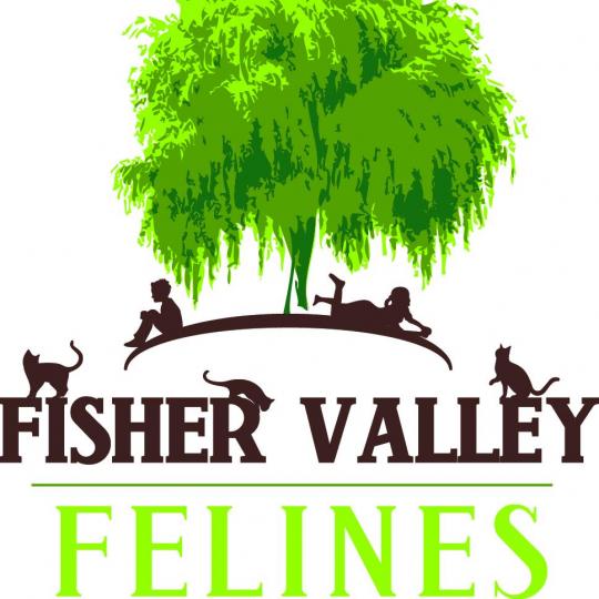 Nonprofit Logo