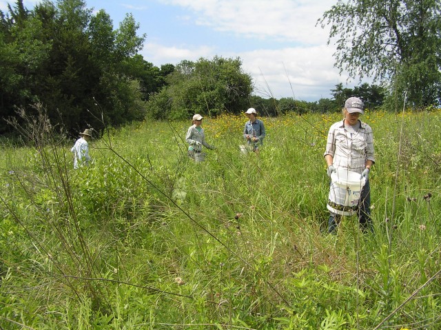 Nonprofit Photo  (53022)