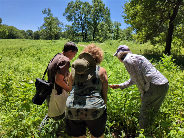 Nonprofit Photo  (176372)