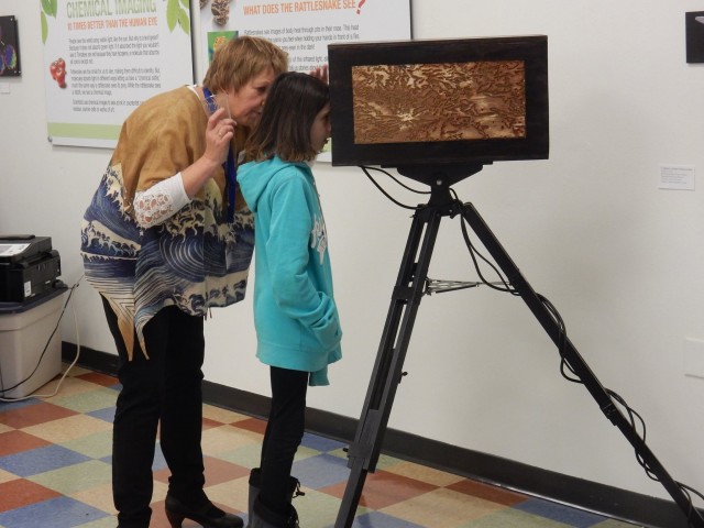 Nonprofit Photo  (56346)