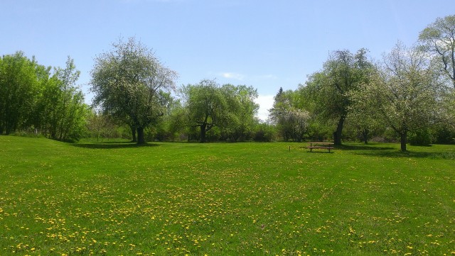 Nonprofit Photo  (63168)