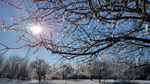 Nonprofit Photo  (63174)