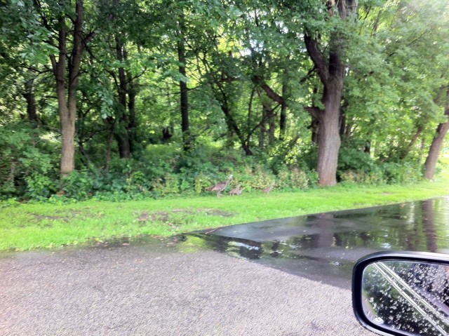 Nonprofit Photo  (63170)