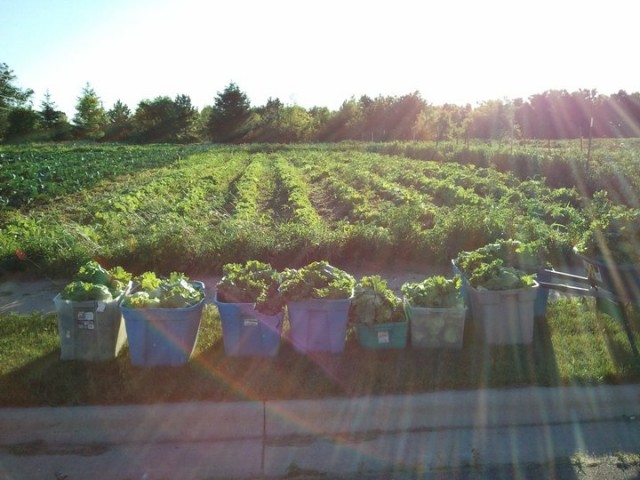 Nonprofit Photo  (65849)