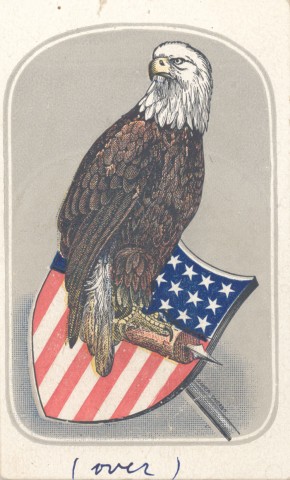 Nonprofit Photo  (80198)