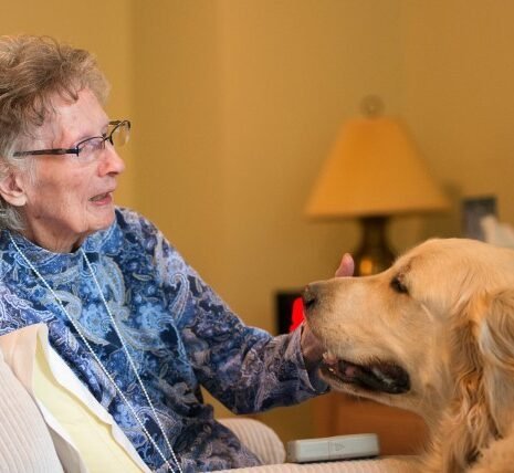 Agency Photo  (272874)